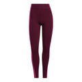 (WMNS) adidas x IVY PARK Knit Joggers Asia Sizing 'Burgundy' HI5897