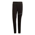 adidas Terrex Insp Ms Pants Outdoor mountaineering waterproof Reflective Logo Sports Long Pants Black GR9996