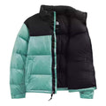THE NORTH FACE 1996 Retro Nuptse SS22 700 NF0A3C8D-6R7